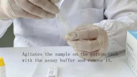 Dispositivo per il rilevamento di virus infettivi per uso umano, nuovo kit di test rapido per nuovi test diagnostici dell'antigene della malattia