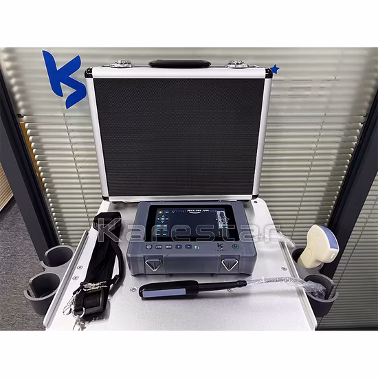 Ecografo veterinario portatile.  Ecografo veterinario portatile